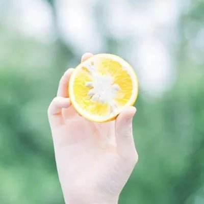 我的新生活游戏下载